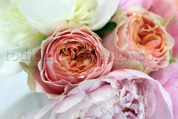 New peony bouquets from Flowers24Hours flower delivery shop